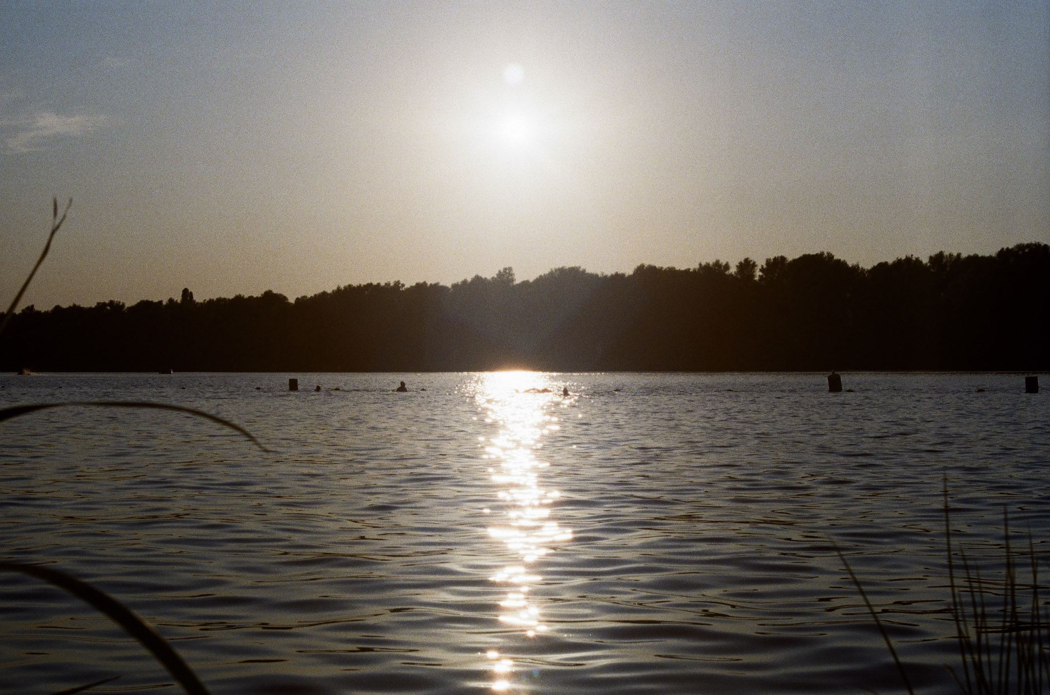 Photograph 4