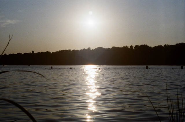 Photograph 4