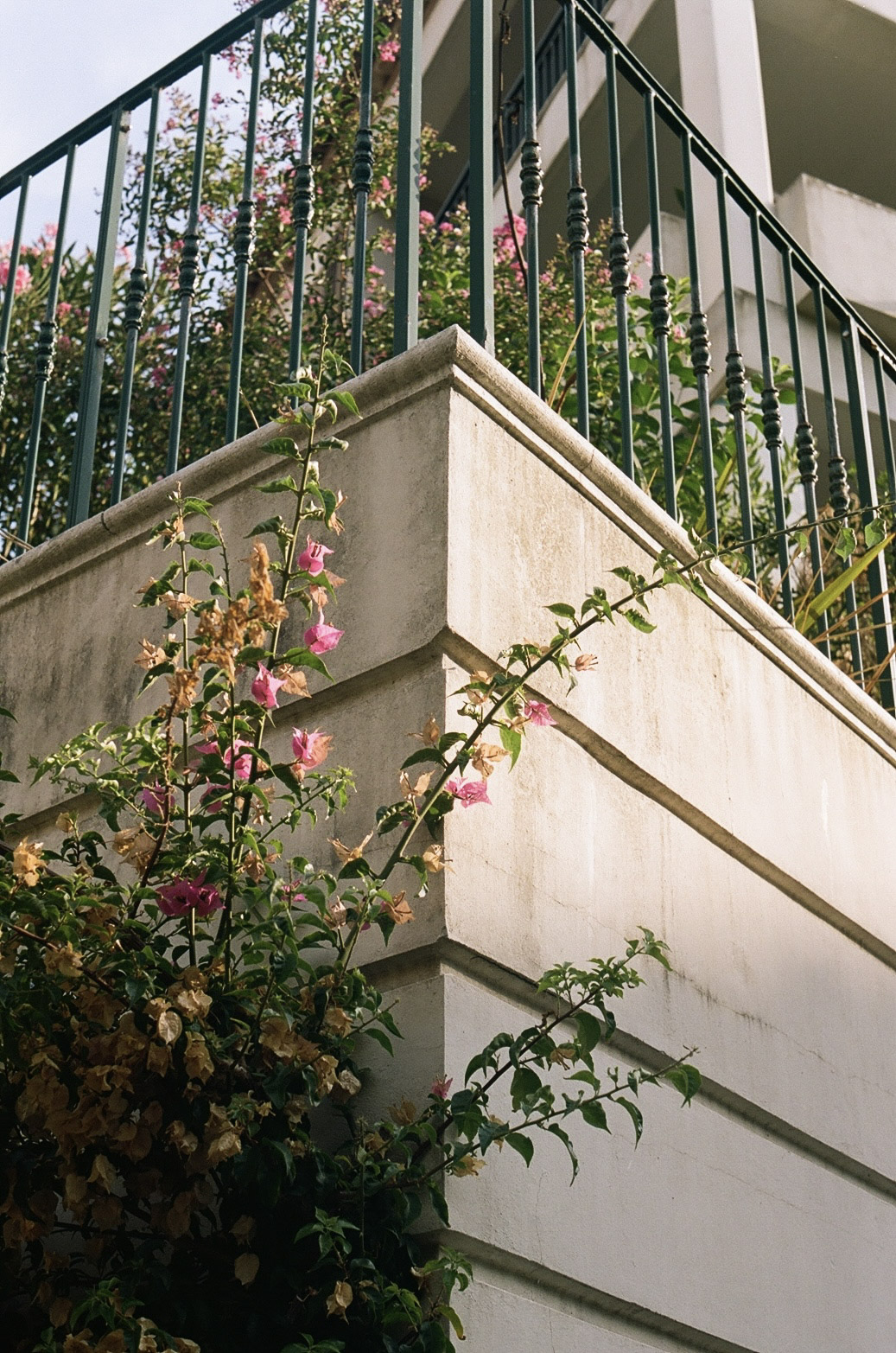Photograph 11