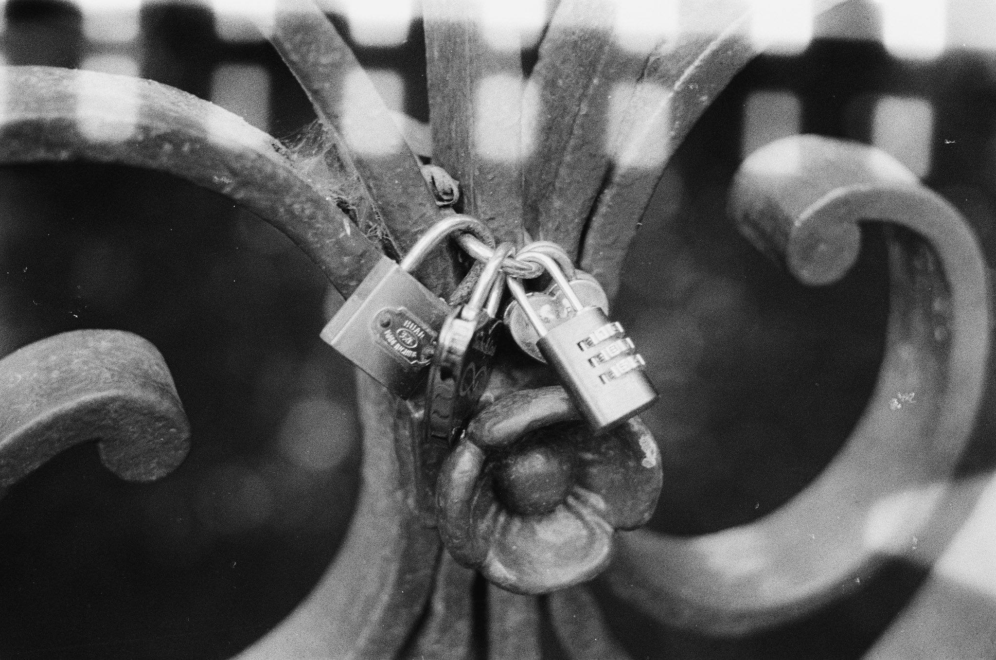 Photograph 18