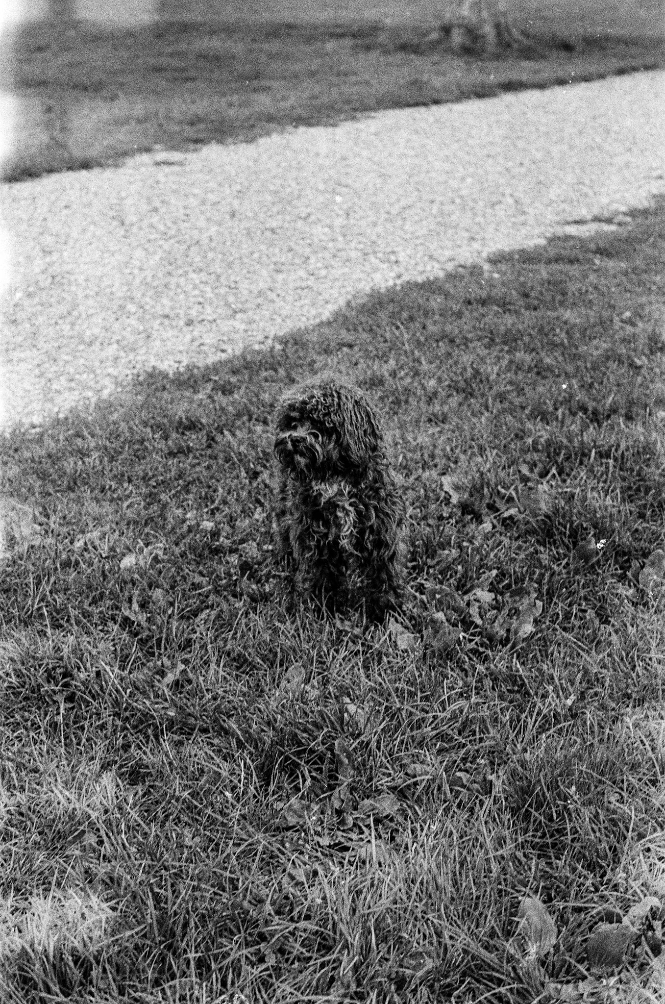 Photograph 19